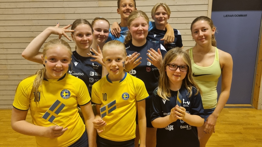 TEAM Sverige